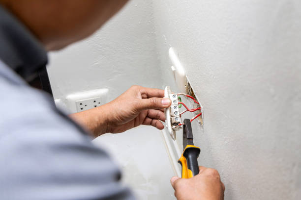 Best Electric Panel Repair  in Palmyra, NJ